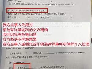 麻豆律师事务所杜冰若：专业离婚律师，提供高效、优质的法律服务