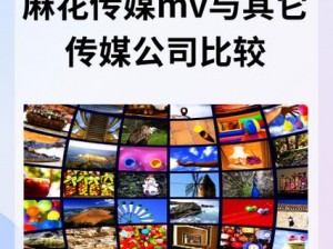 麻花传媒 MV 与其他传媒公司相比，有何优势和劣势？如何选择适合自己的传媒公司？