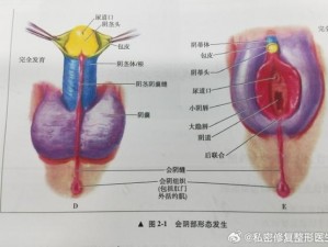 荫蒂每天被三个男人添动漫：独特的私密护理产品