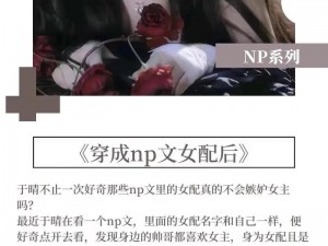 np女【NP 女：被众人环绕的她】