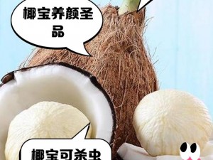 好的男女关系都是日出来的——宝椰成人用品