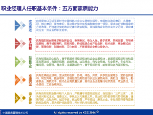 2013年职业自行车队经理的战术心得与策略探讨