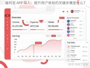 福利宝 APP 导入：提升用户体验的关键步骤是什么？