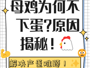 神秘视线3鸡群产蛋难题解析与应对方案探索