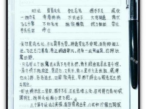 追寻卓越：悟空玉面公主的成长与前行之路