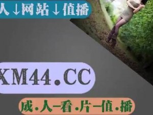 无人区乱码区 1 卡 2 卡三卡网站为什么看不了？如何解决？