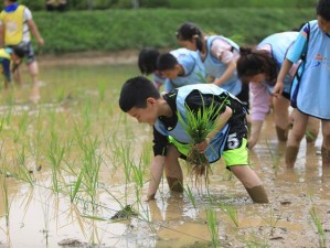 秘密教学子豪 83 田里开机：体验农耕乐趣，感受自然之美