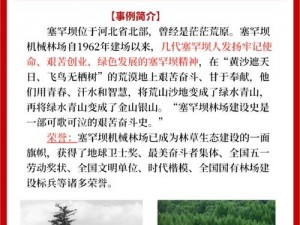 中世纪工程师预告片：揭秘古代工程奇迹的建造者与时代变迁的传奇故事