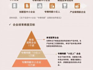 国精产品三区四区有限公司—如何提升国精产品三区四区有限公司的市场竞争力？