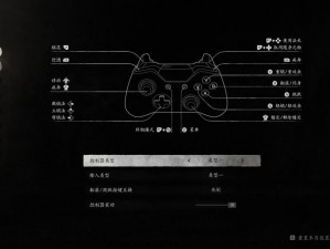 黑暗之魂2PC版按键设置深度解析及一代按键操作指南：心得分享与实用技巧探讨