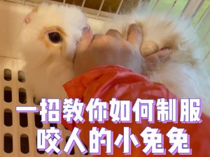 男朋友咬小兔兔时，女生应该怎么回应？为什么-如何-怎样