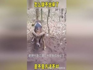 老师下面太紧拔不出来怎么矫【：和老师做爱时，我下面太紧，拔不出来，该如何矫正？】