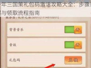 少年三国策礼包码激活攻略大全：步骤详解与领取流程指南