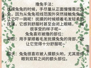 男朋友说我想摸你的小白兔、男朋友说：我想摸你的小白兔，这正常吗？