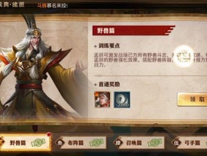 少年三国志2百骑劫营困境解析：策略路径与通关之道探寻