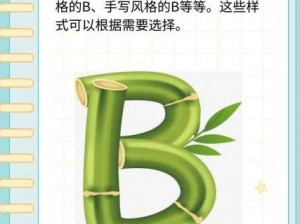 B 有几种图形，多样选择满足不同需求