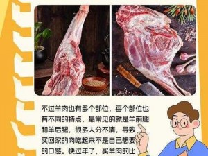 关于《羊了个羊》取消实名认证的实用指南：一步到位的解决方法