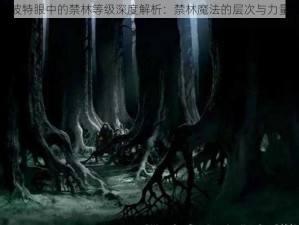 哈利波特眼中的禁林等级深度解析：禁林魔法的层次与力量探究