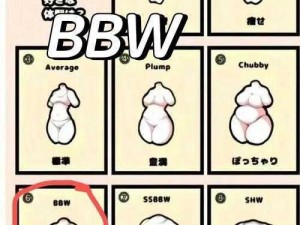 如何解决大号 boobs 巨大乳 BBw3D 带来的困扰？