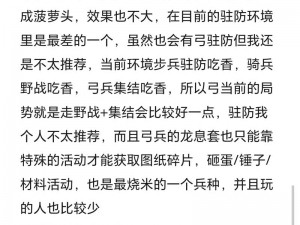 《讨鬼传》弓箭手游戏攻略：深度解析弓箭手的战斗技巧与策略心得