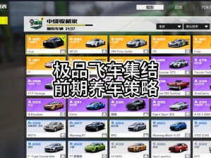 《极品飞车19：Steam平台价格解析与购买指南》