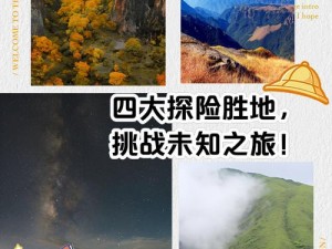 勇者之心：砥砺前行，挑战未知的攻略之旅