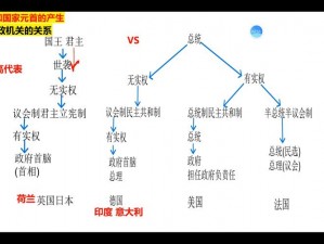 《维多利亚2总统选举机制详解：流程规则及其背后的民主理念探讨》