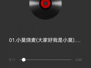 为什么 dj 小莫今天夜里好寂寞歌曲总能触动心灵？