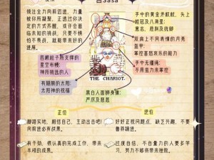 万智牌：深度解析旅法师对决策略秘籍 玩转牌局的艺术盛宴2013之卡牌策略解析