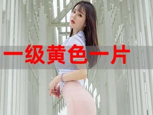 为什么下载一级黄色的资源会被处罚？怎样安全下载一级黄色的资源？