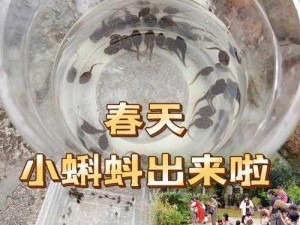 蝌蚪窝最新地址为什么总是失效？如何找到有效地址？