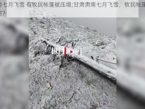 甘肃肃南七月飞雪 有牧民帐篷被压塌;甘肃肃南七月飞雪，牧民帐篷被压塌，情况如何？