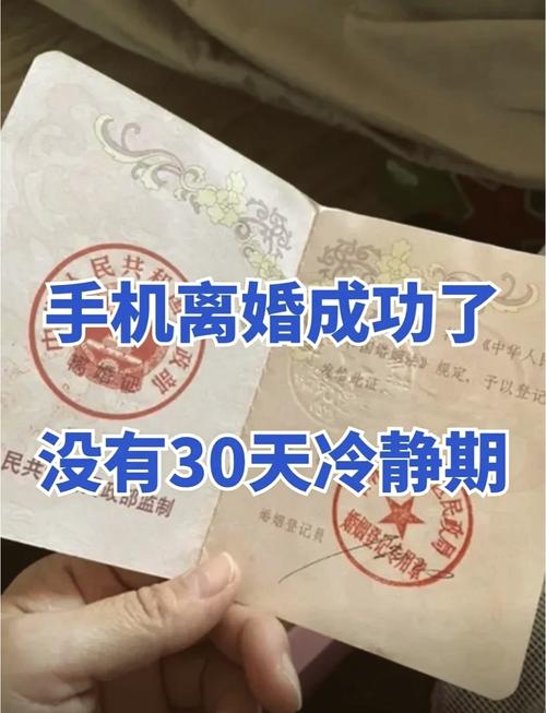 揭秘我的宫廷手游：离婚系统玩法全解析，轻松掌握离婚操作步骤