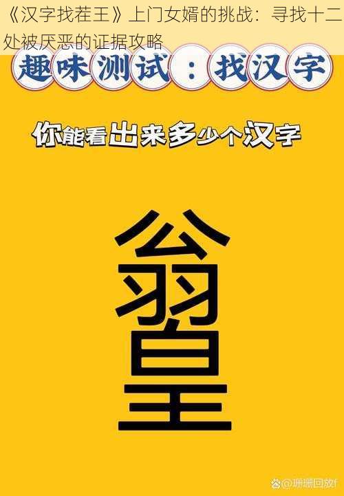 《汉字找茬王》上门女婿的挑战：寻找十二处被厌恶的证据攻略