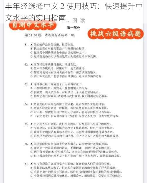 丰年经继拇中文 2 使用技巧：快速提升中文水平的实用指南