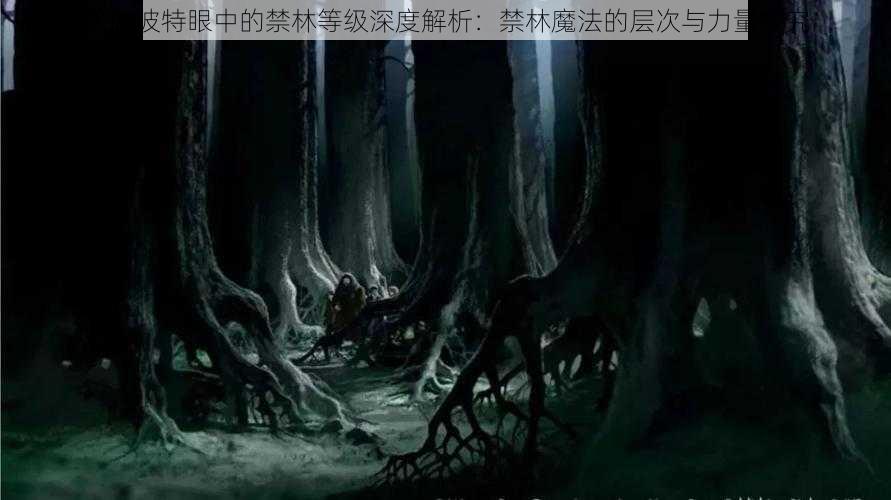 哈利波特眼中的禁林等级深度解析：禁林魔法的层次与力量探究