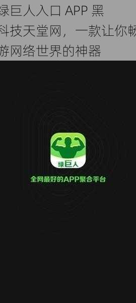 绿巨人入口 APP 黑科技天堂网，一款让你畅游网络世界的神器