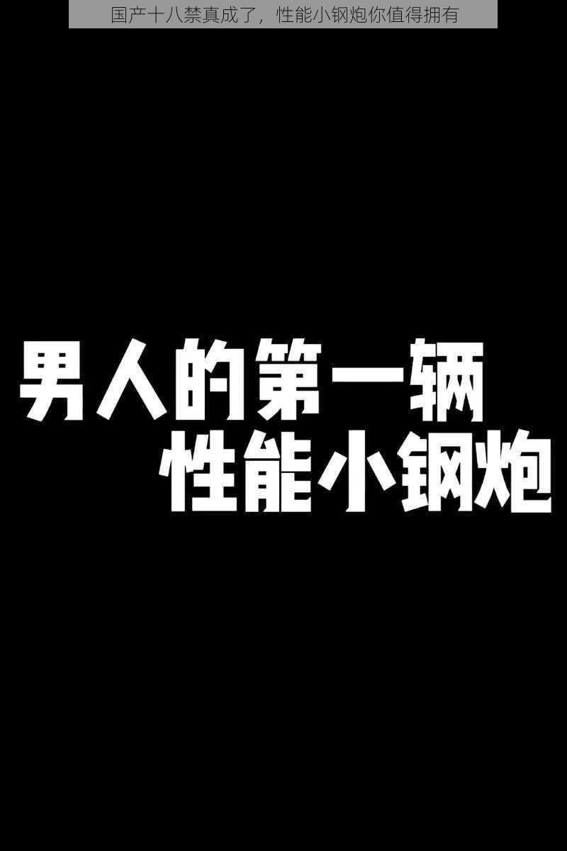 国产十八禁真成了，性能小钢炮你值得拥有