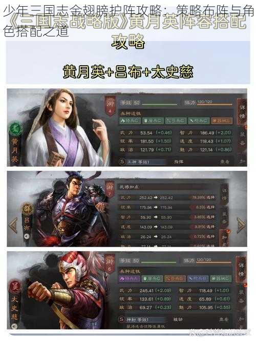 少年三国志金翅膀护阵攻略：策略布阵与角色搭配之道