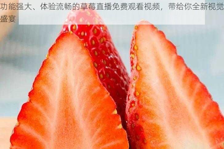 功能强大、体验流畅的草莓直播免费观看视频，带给你全新视觉盛宴