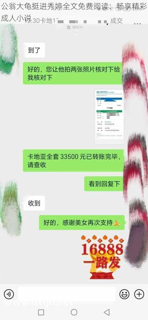 公翁大龟挺进秀婷全文免费阅读：畅享精彩成人小说