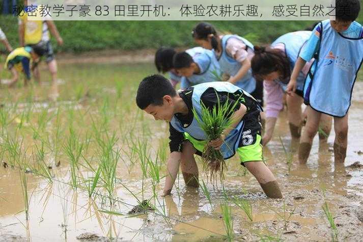 秘密教学子豪 83 田里开机：体验农耕乐趣，感受自然之美