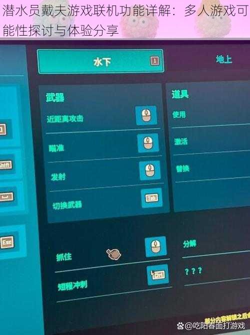 潜水员戴夫游戏联机功能详解：多人游戏可能性探讨与体验分享