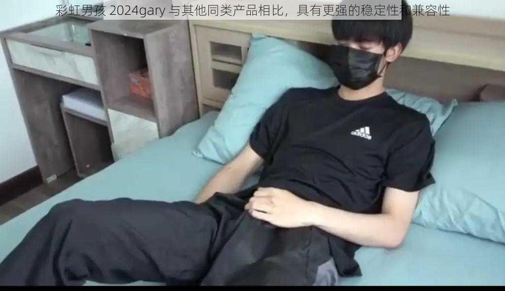 彩虹男孩 2024gary 与其他同类产品相比，具有更强的稳定性和兼容性