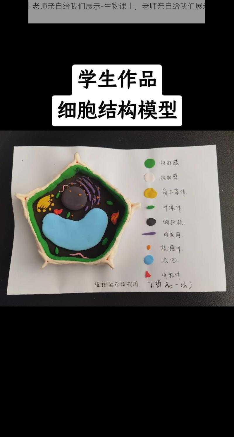 生物课上老师亲自给我们展示-生物课上，老师亲自给我们展示了细胞的结构