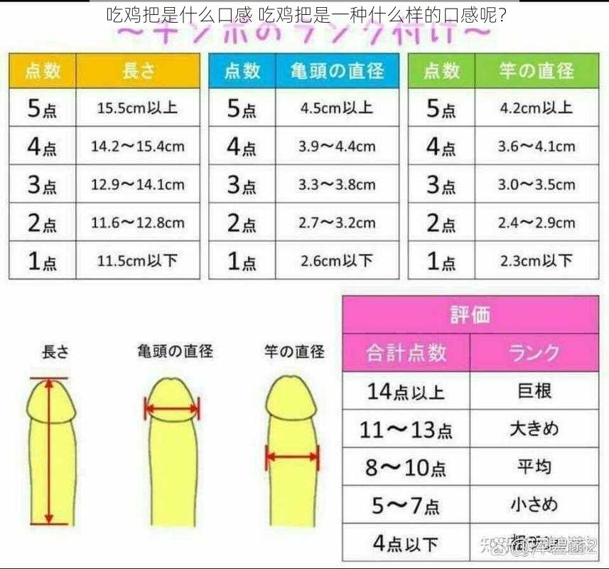 吃鸡把是什么口感 吃鸡把是一种什么样的口感呢？