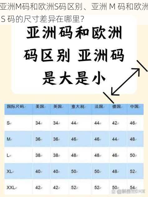 亚洲M码和欧洲S码区别、亚洲 M 码和欧洲 S 码的尺寸差异在哪里？