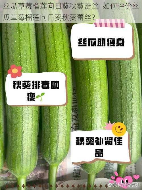 丝瓜草莓榴莲向日葵秋葵蕾丝_如何评价丝瓜草莓榴莲向日葵秋葵蕾丝？