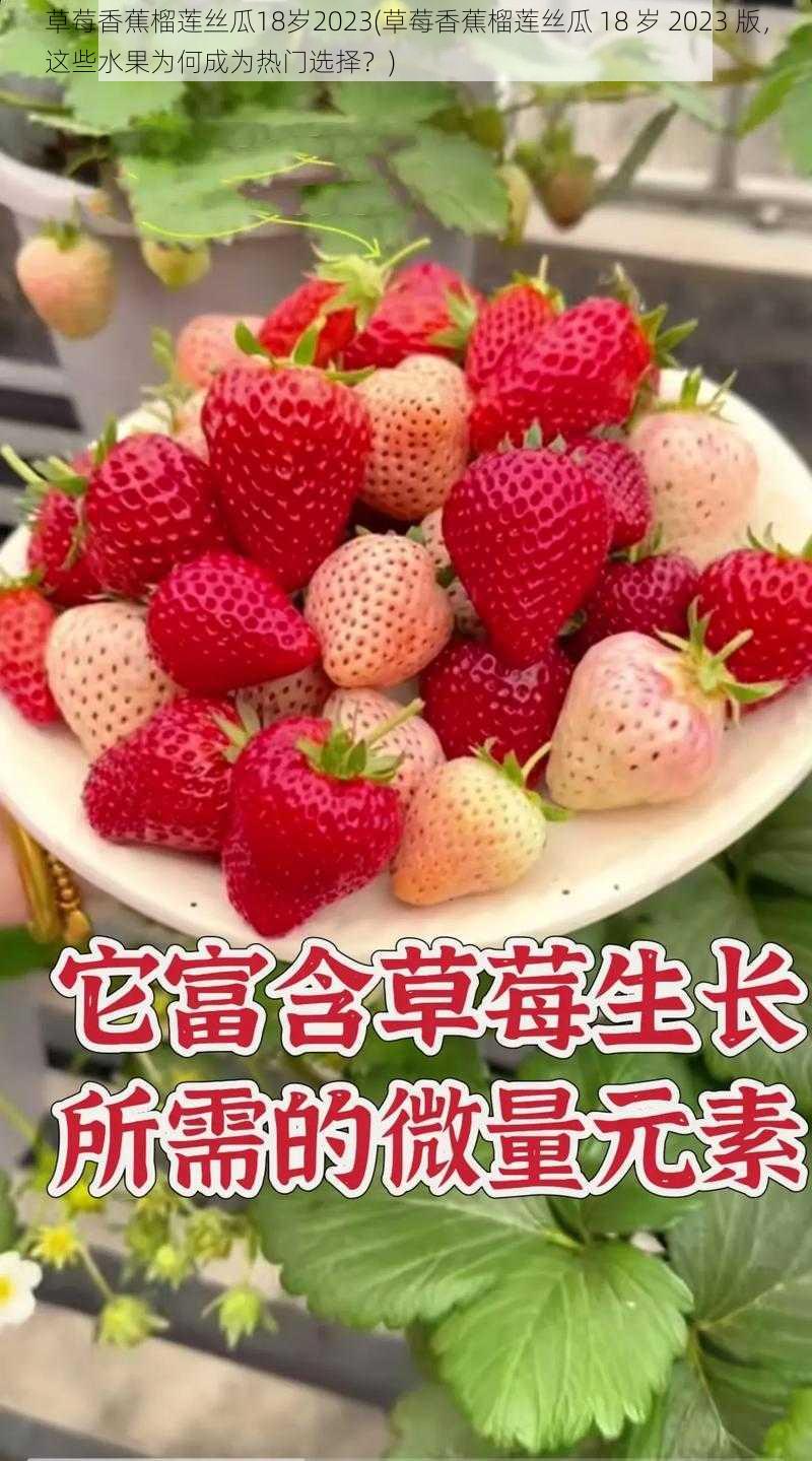 草莓香蕉榴莲丝瓜18岁2023(草莓香蕉榴莲丝瓜 18 岁 2023 版，这些水果为何成为热门选择？)