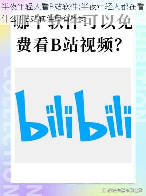 半夜年轻人看B站软件;半夜年轻人都在看什么？B站软件里有答案